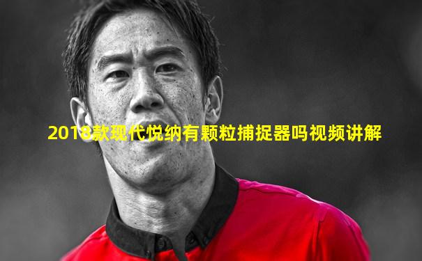 2018款现代悦纳有颗粒捕捉器吗视频讲解