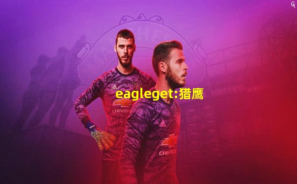 eagleget:猎鹰