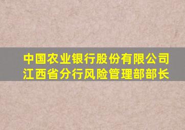 中国农业银行股份有限公司江西省分行风险管理部部长