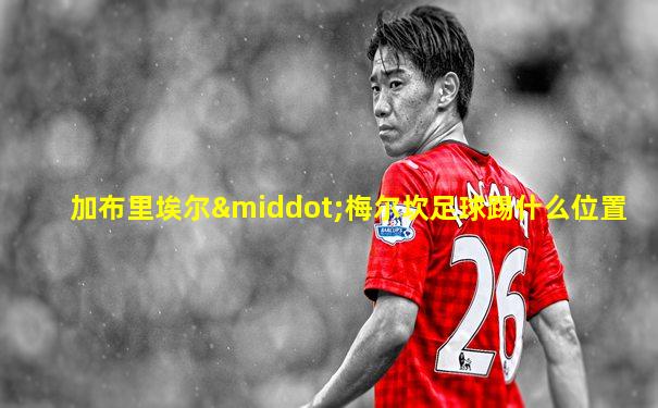 加布里埃尔·梅尔坎足球踢什么位置