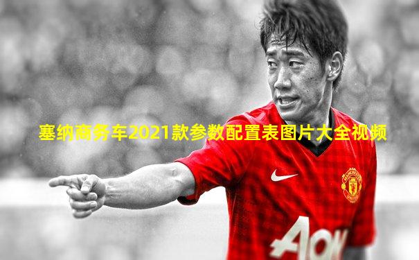 塞纳商务车2021款参数配置表图片大全视频