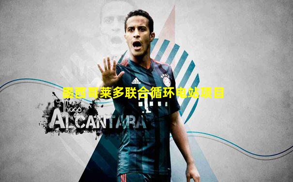 墨西哥莱多联合循环电站项目