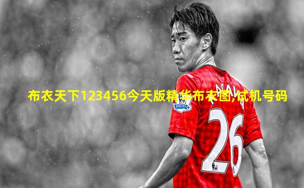 布衣天下123456今天版精华布衣图,试机号码