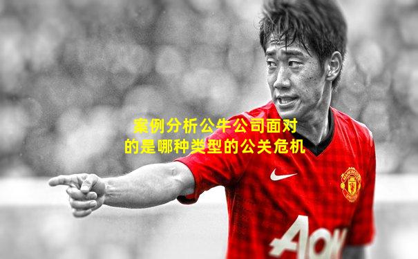 案例分析公牛公司面对的是哪种类型的公关危机