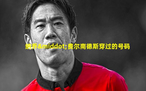 纳乔·费尔南德斯穿过的号码