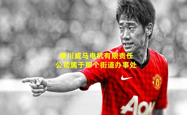 银川威马电机有限责任公司属于那个街道办事处